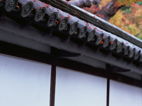 兵庫県姫路市にある左官業ならお任せの株式会社ワンハートです。和風の漆喰や和室の壁塗りに特化した左官業はもちろん、建設業やリフォーム（水回り・屋根・外構・手すり工事・バリアフリー工事）も承っております。